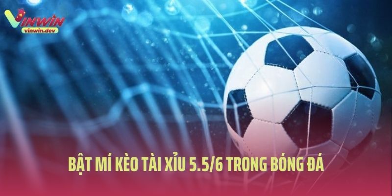 Vinwin bật mí kèo tài xỉu 5.5/6 là gì trong bóng đá?