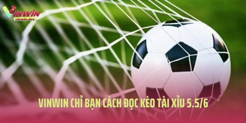 Vinwin chỉ bạn cách đọc kèo tài xỉu 5.5/6 là gì?